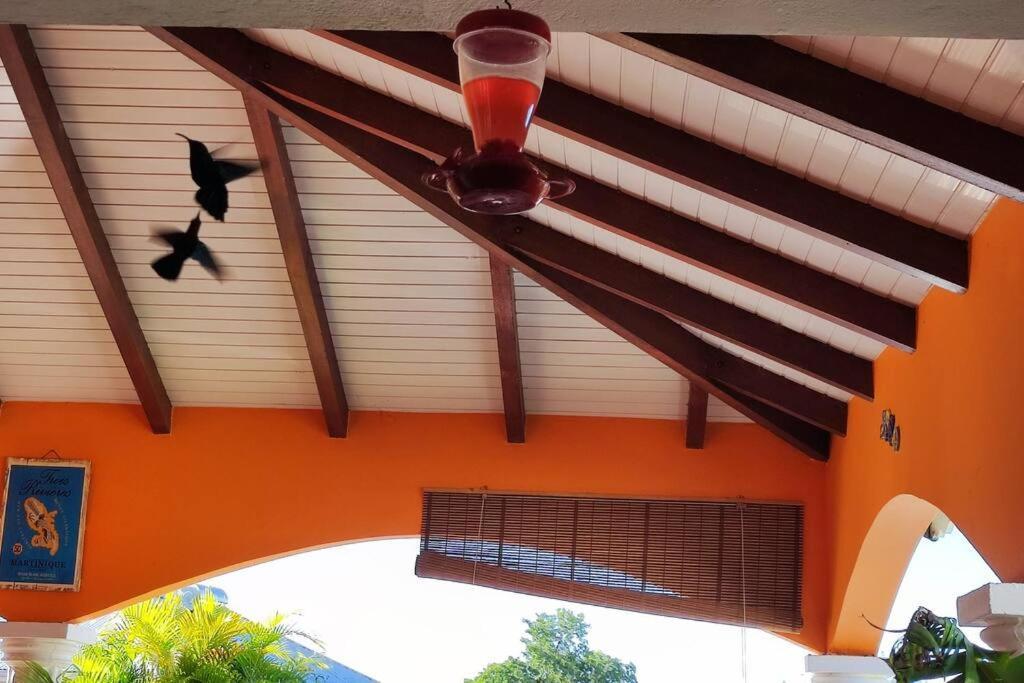 Villa Anolis, Sainte Luce, Piscine, Vue Mer, 4* Exterior photo